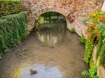 „Alles fließt“ – Tübinger Wasserspaziergang