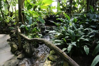 Nachts im Botanischen Garten der Universität Tübingen - Kinderführung