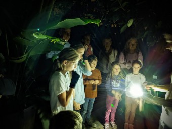 Nachts im Botanischen Garten der Universität -Kinderführung