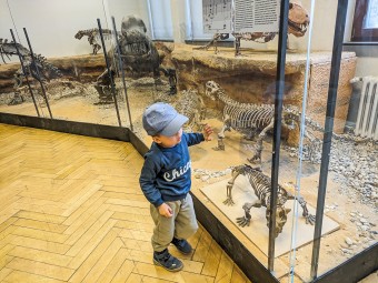 Die Tübinger Dinos - Kinderführung
