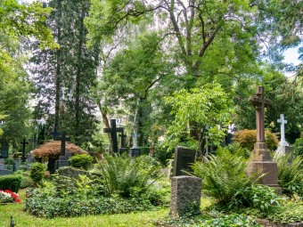 Der alte Tübinger Stadtfriedhof