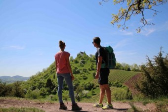 Wanderung auf dem Jakobsweg zur Wurmlinger Kapelle und zurück