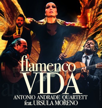 FLAMENCO VIDA